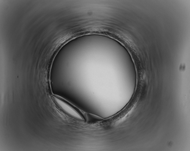 X0000098100881200804041241