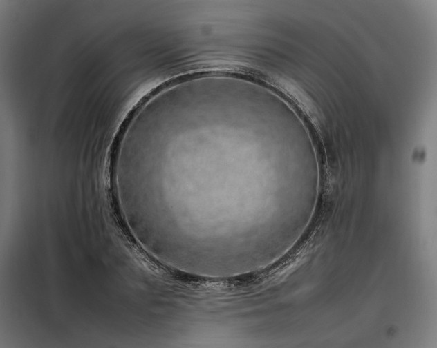 X0000098100883200804041241