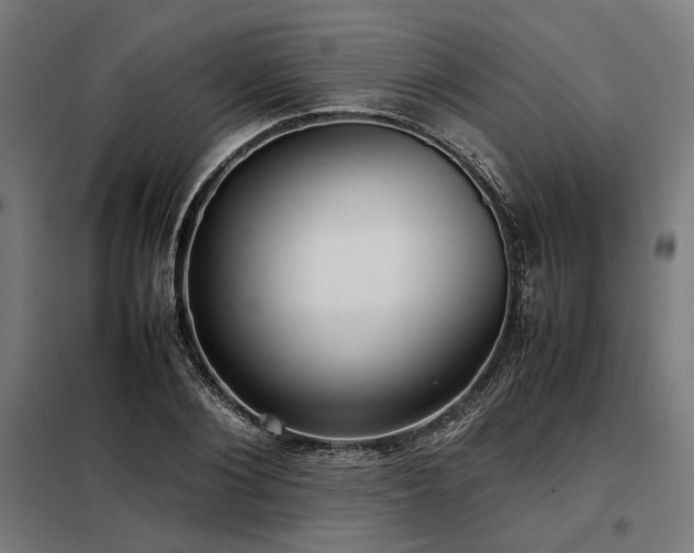 X0000098100884200804041241