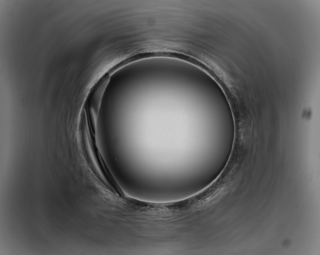 X0000098100885200804041241