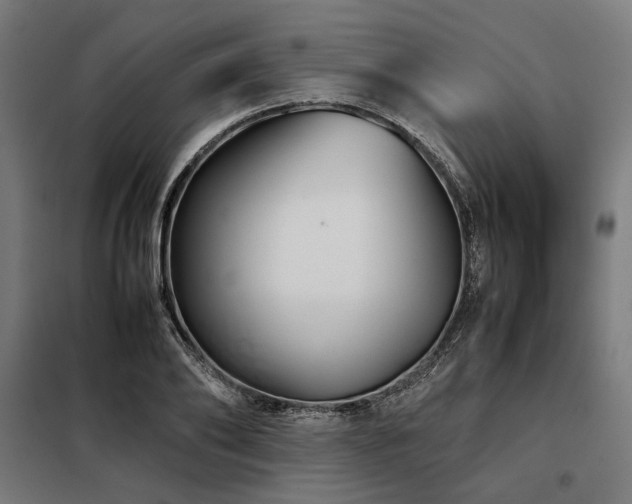 X0000098100886200804041241
