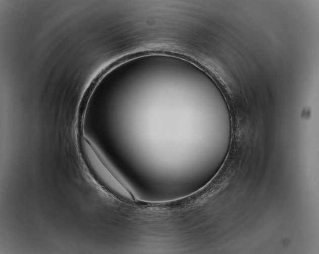 X0000098100888200804041241
