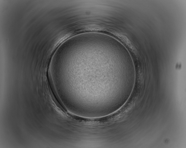X0000098100889200804041241