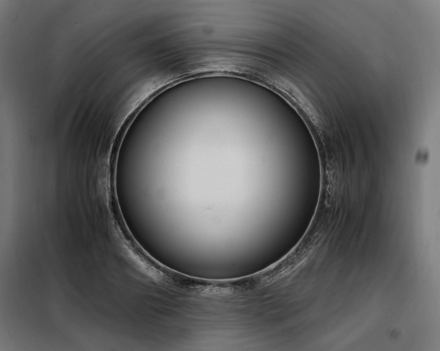 X0000098100890200804041241