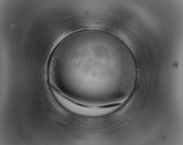 X0000098100891200804041241