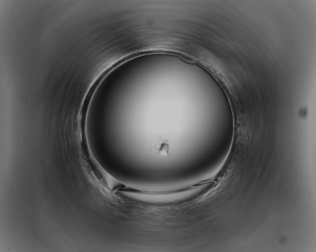 X0000098100892200804041241