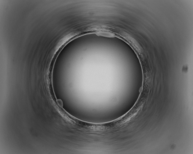 X0000098100893200804041241