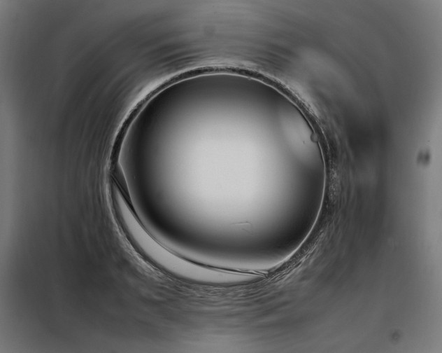 X0000098100895200804041241