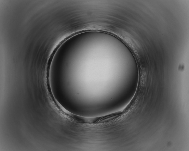 X0000098100896200804041241