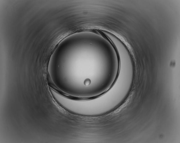X0000098100897200804041241