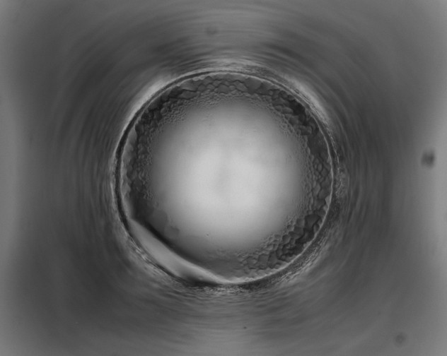 X0000098100899200804041241
