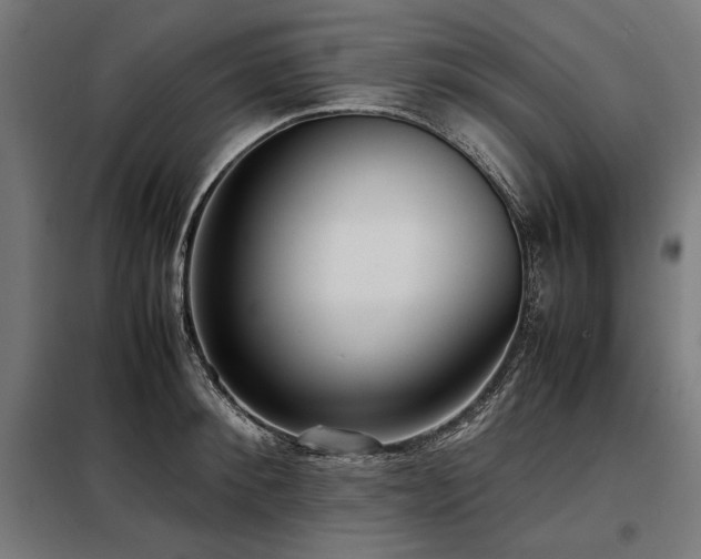 X0000098100900200804041241