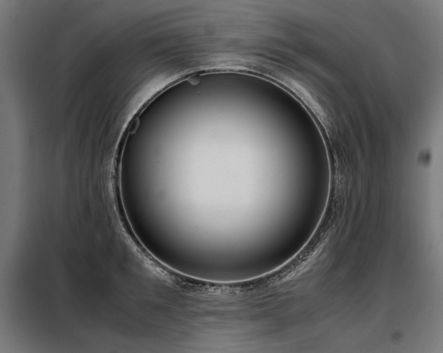 X0000098100901200804041241