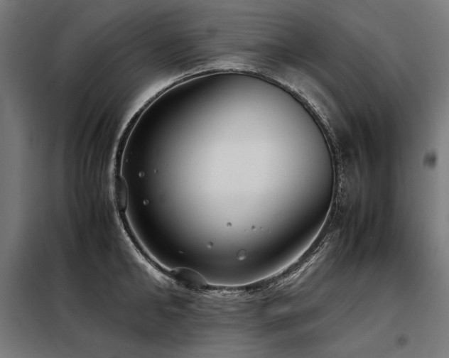 X0000098100902200804041241