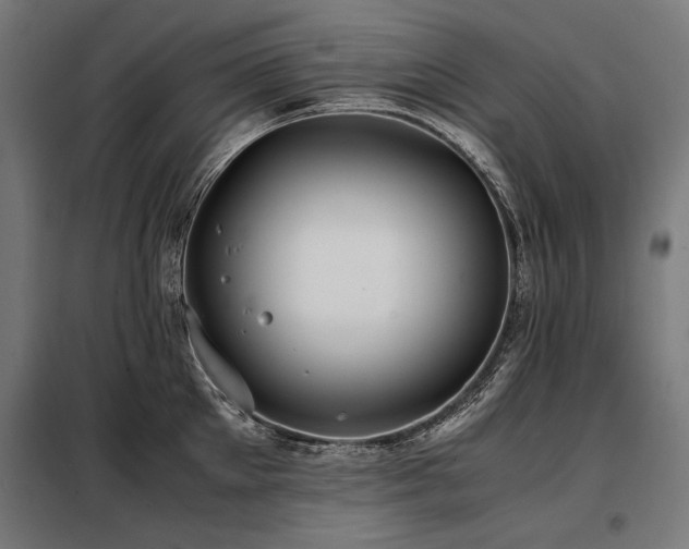 X0000098100905200804041241
