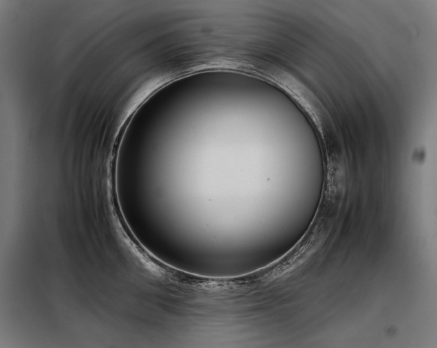 X0000098100906200804041241