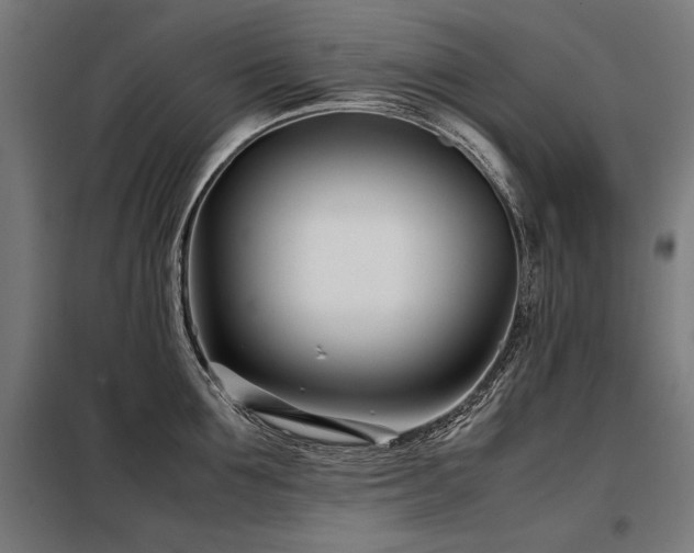 X0000098100907200804041241