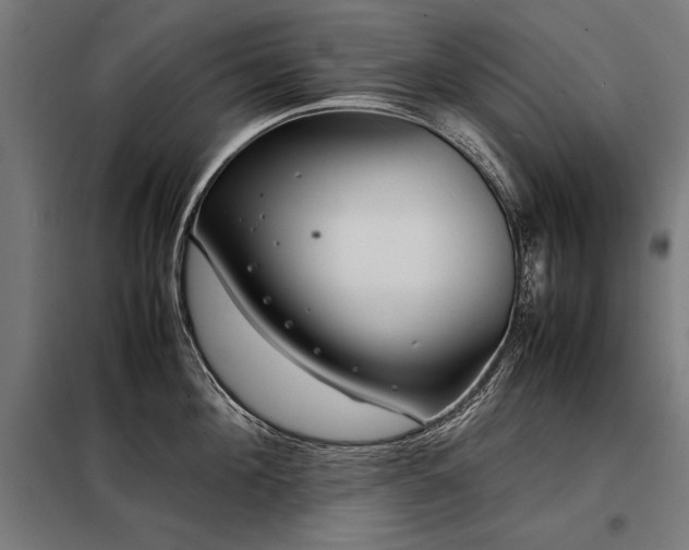 X0000098100908200804041241