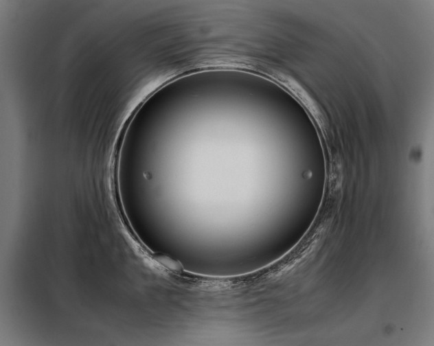 X0000098100909200804041241