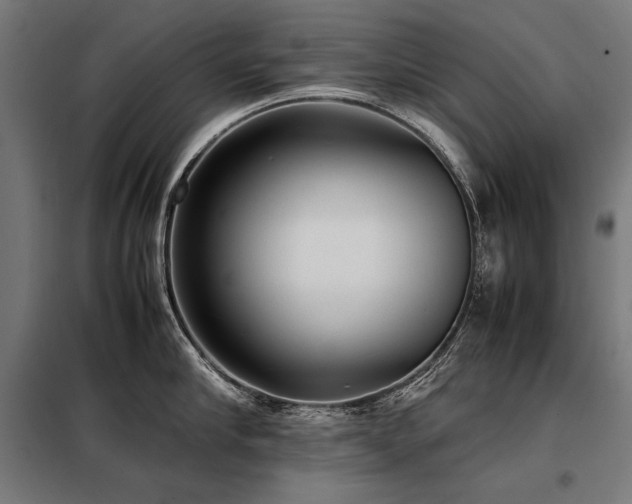 X0000098100910200804041241