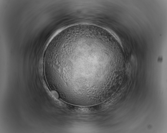 X0000098100911200804041241