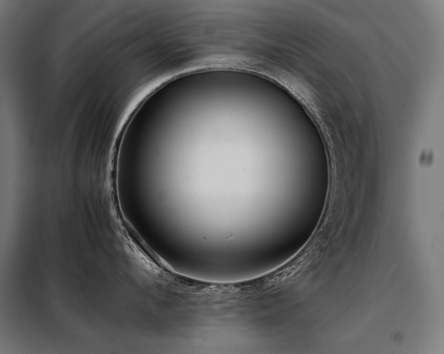X0000098100912200804041241