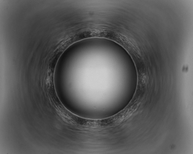 X0000098100914200804041240