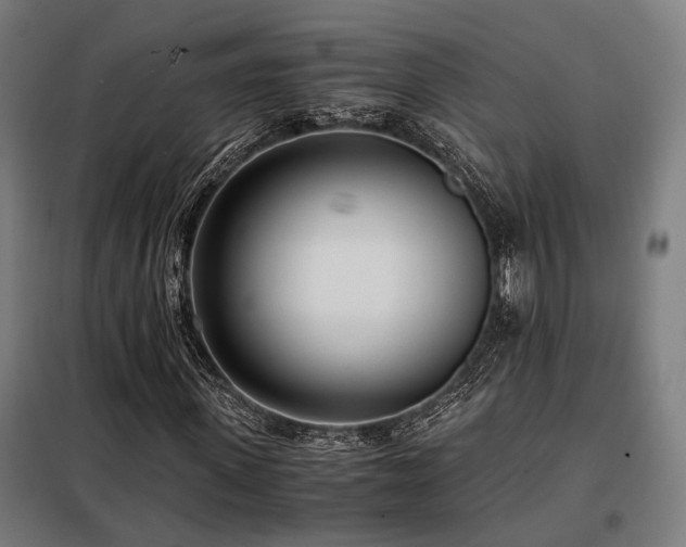 X0000098100915200804041240