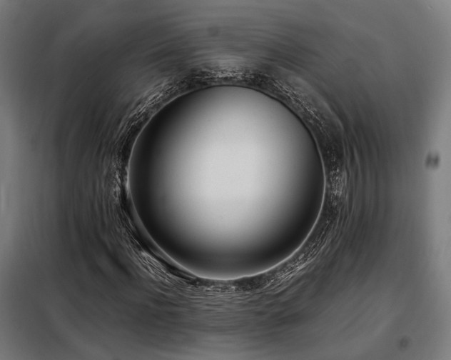 X0000098100916200804041240