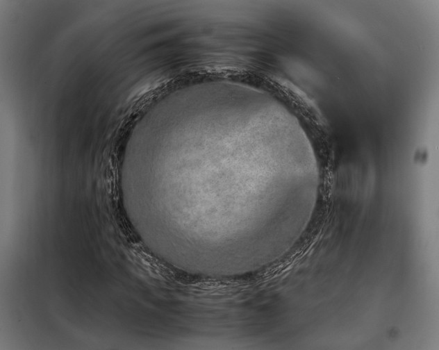 X0000098100917200804041240