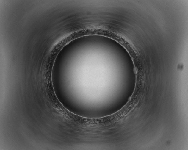 X0000098100919200804041240