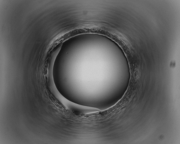 X0000098100920200804041240