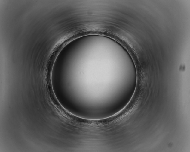 X0000098100922200804041240