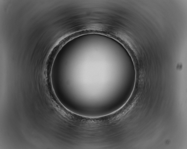 X0000098100923200804041240