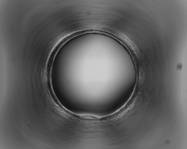 X0000098100924200804041240
