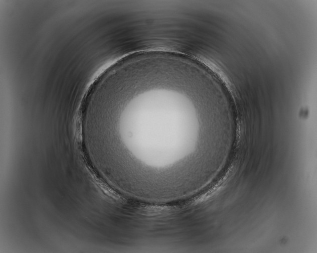 X0000098100925200804041240
