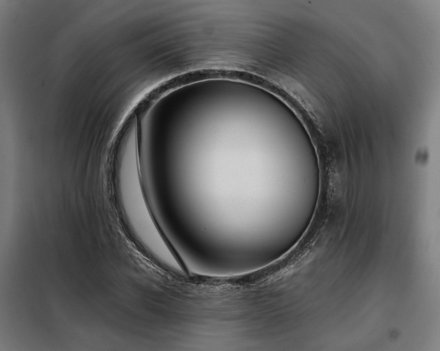 X0000098100926200804041240