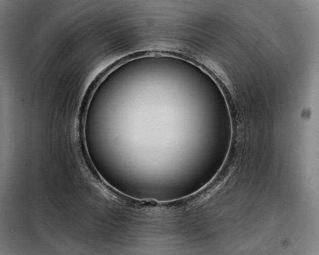 X0000098100928200804041240