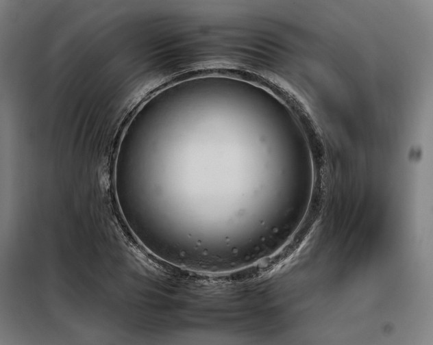 X0000098100929200804041240