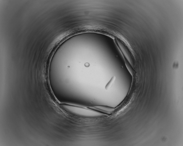 X0000098100930200804041240