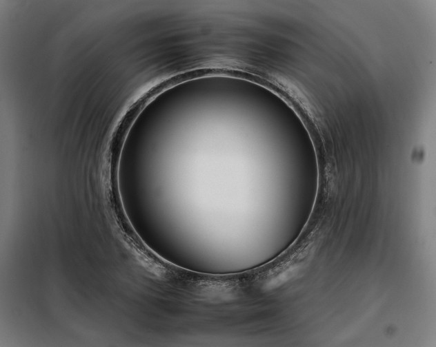 X0000098100931200804041240