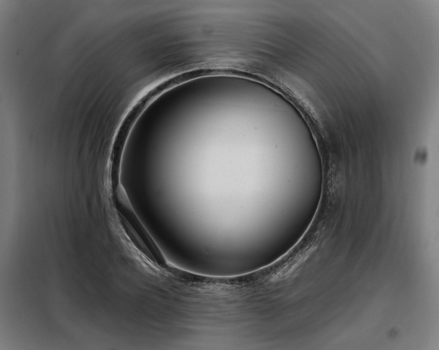 X0000098100932200804041240