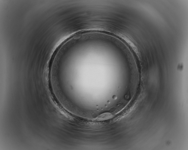 X0000098100933200804041240