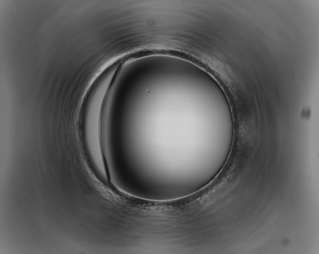 X0000098100934200804041240