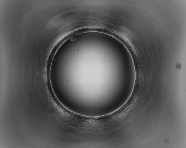 X0000098100935200804041240