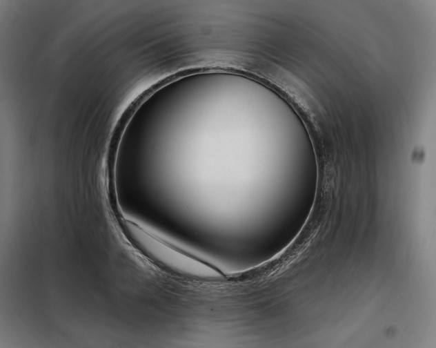 X0000098100936200804041240