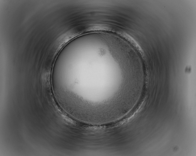 X0000098100937200804041240