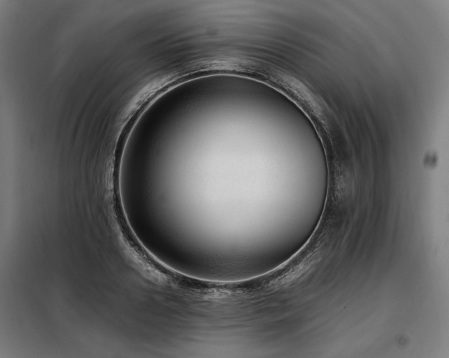 X0000098100938200804041240
