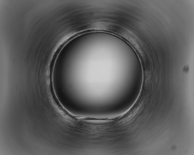 X0000098100939200804041240