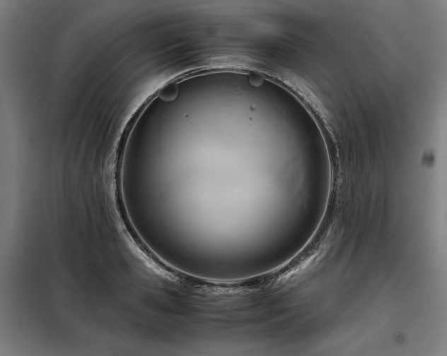 X0000098100941200804041240